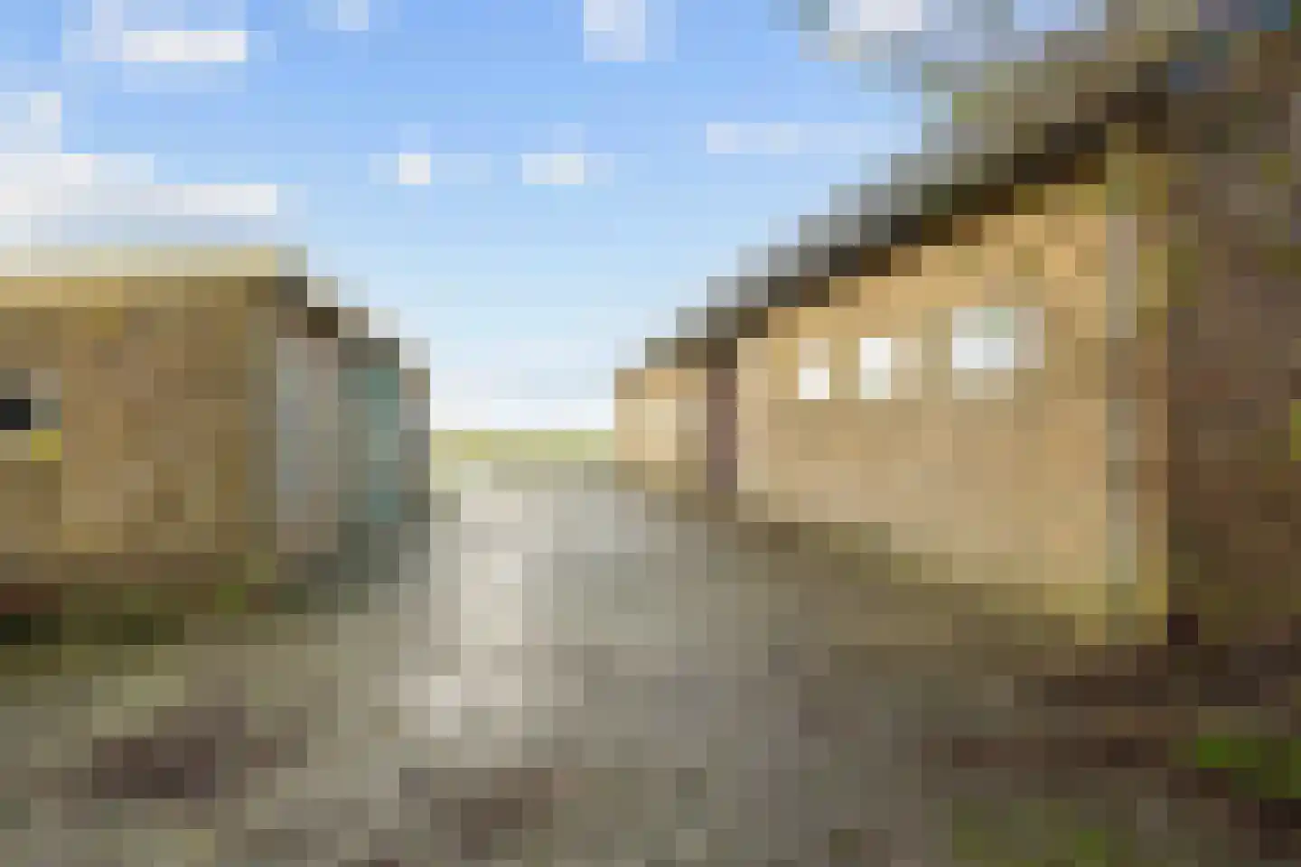 Boonweg 4 St.-Jacobiparochie thumbnail 65