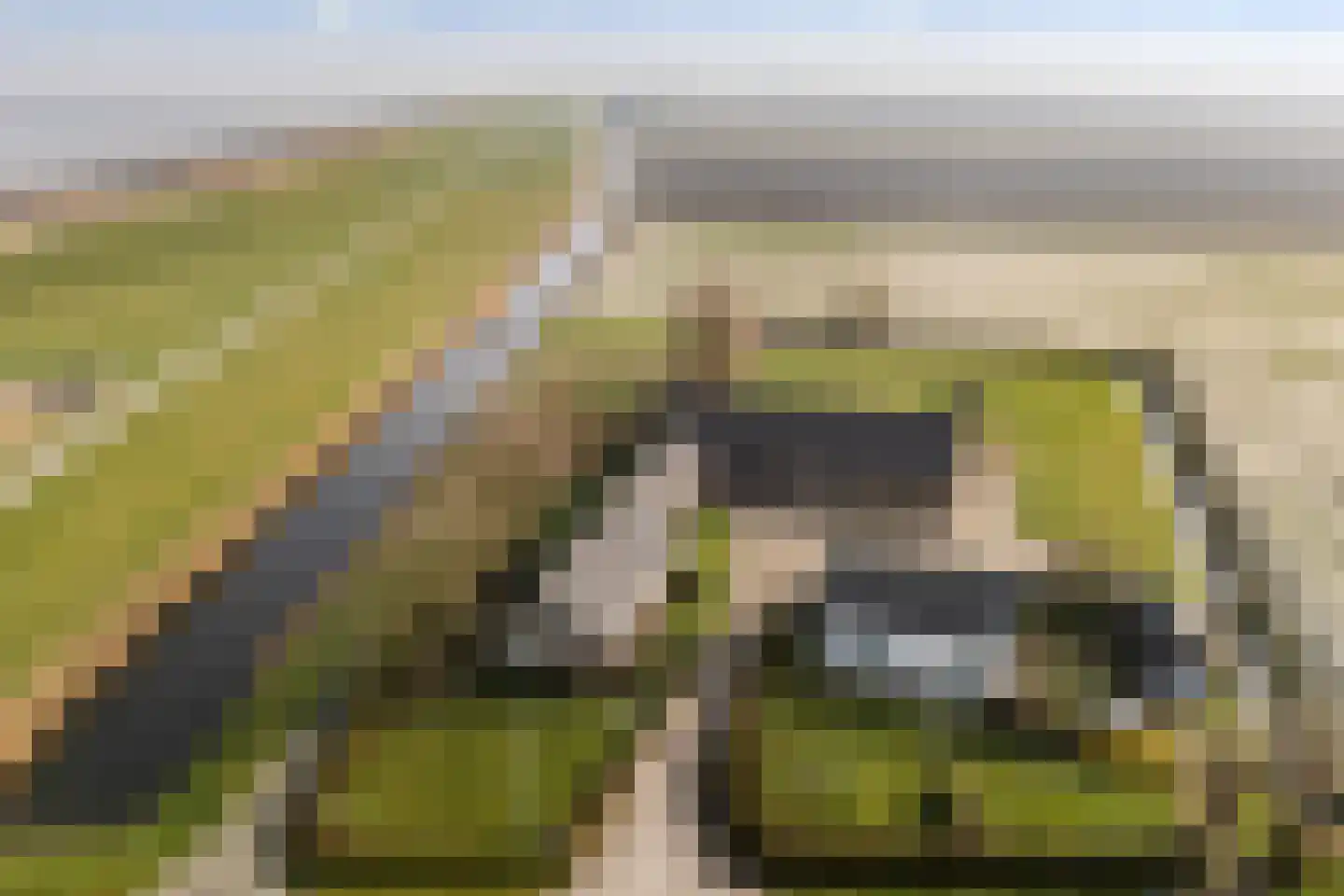 Boonweg 4 St.-Jacobiparochie thumbnail 8