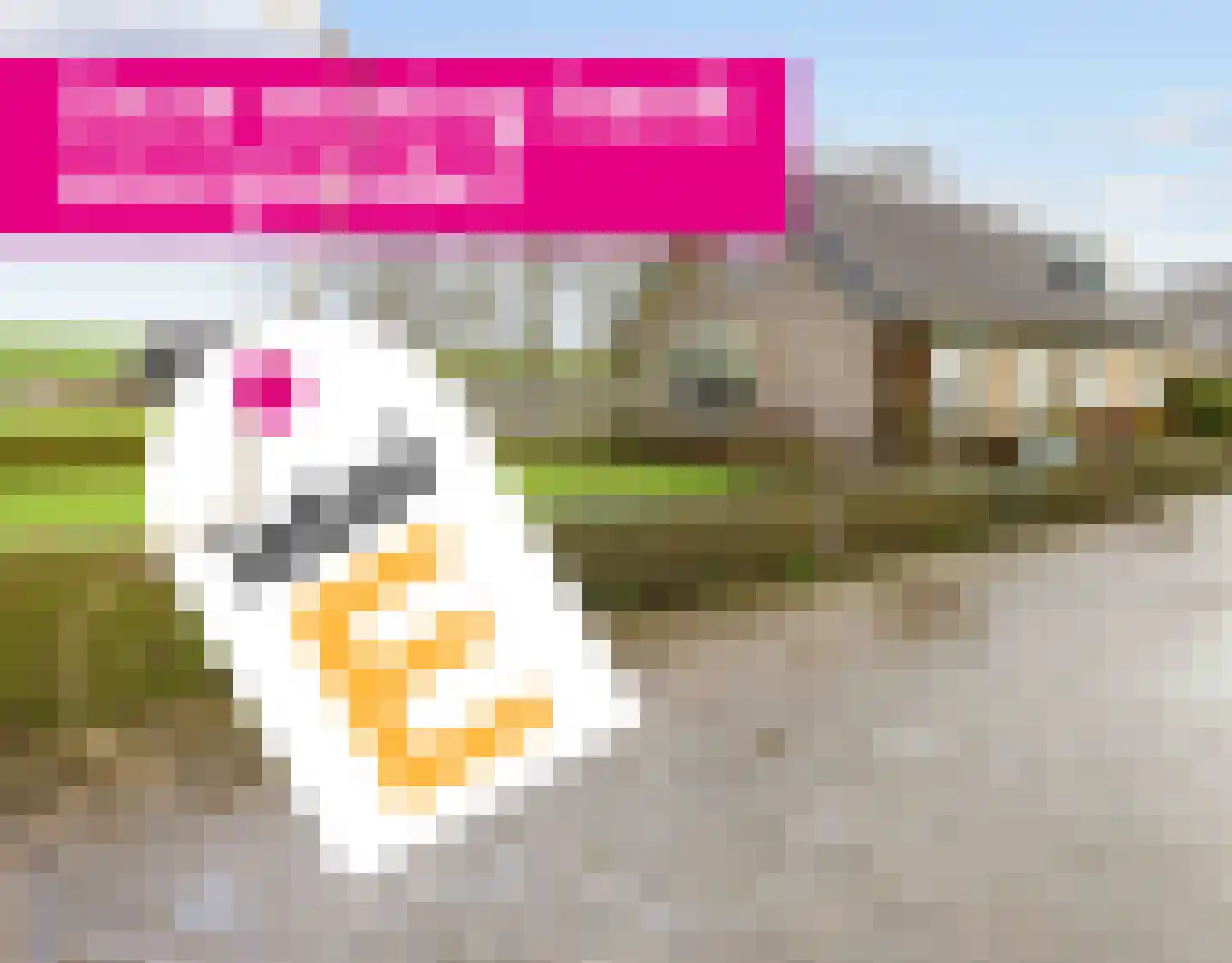 Boonweg 4 St.-Jacobiparochie thumbnail 87