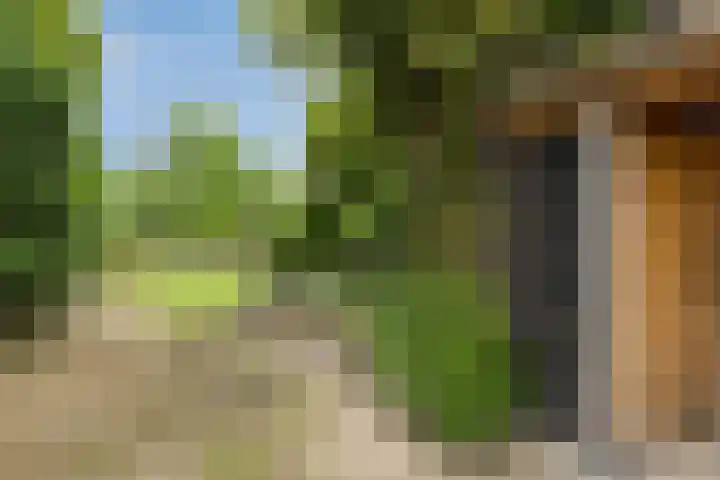 Boord 50 Nuenen thumbnail 34