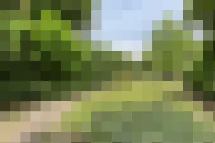 Boord 50 Nuenen thumbnail 35