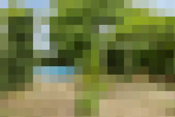 Boord 50 Nuenen thumbnail 36