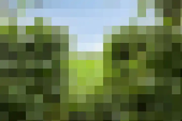 Boord 50 Nuenen thumbnail 38