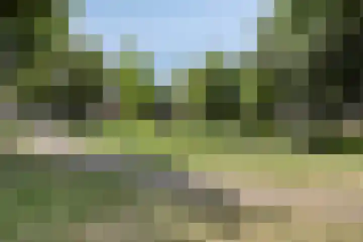 Boord 50 Nuenen thumbnail 39