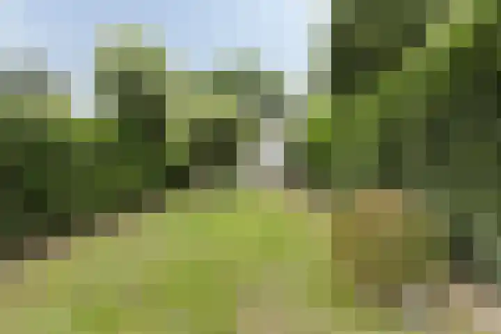 Boord 50 Nuenen thumbnail 4