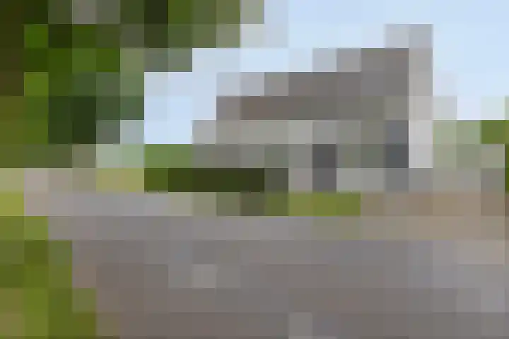 Boord 50 Nuenen thumbnail 6