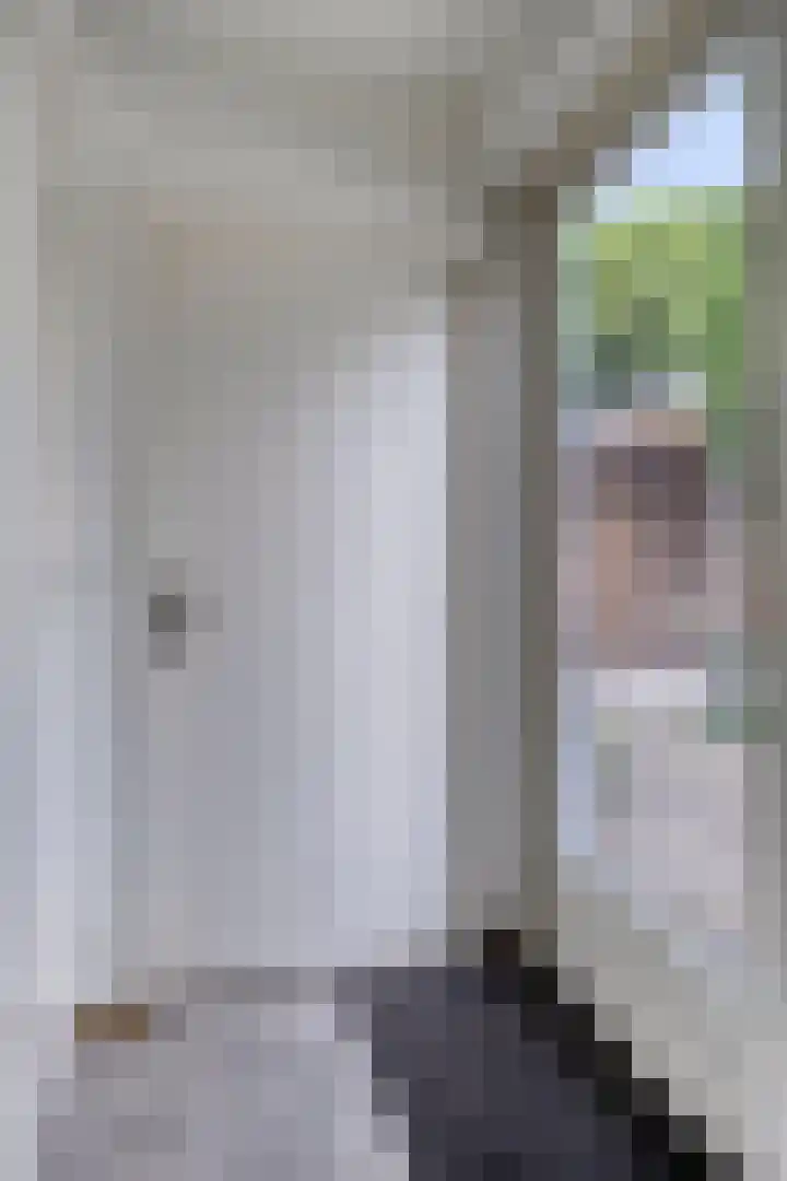 Boord 50 Nuenen thumbnail 7