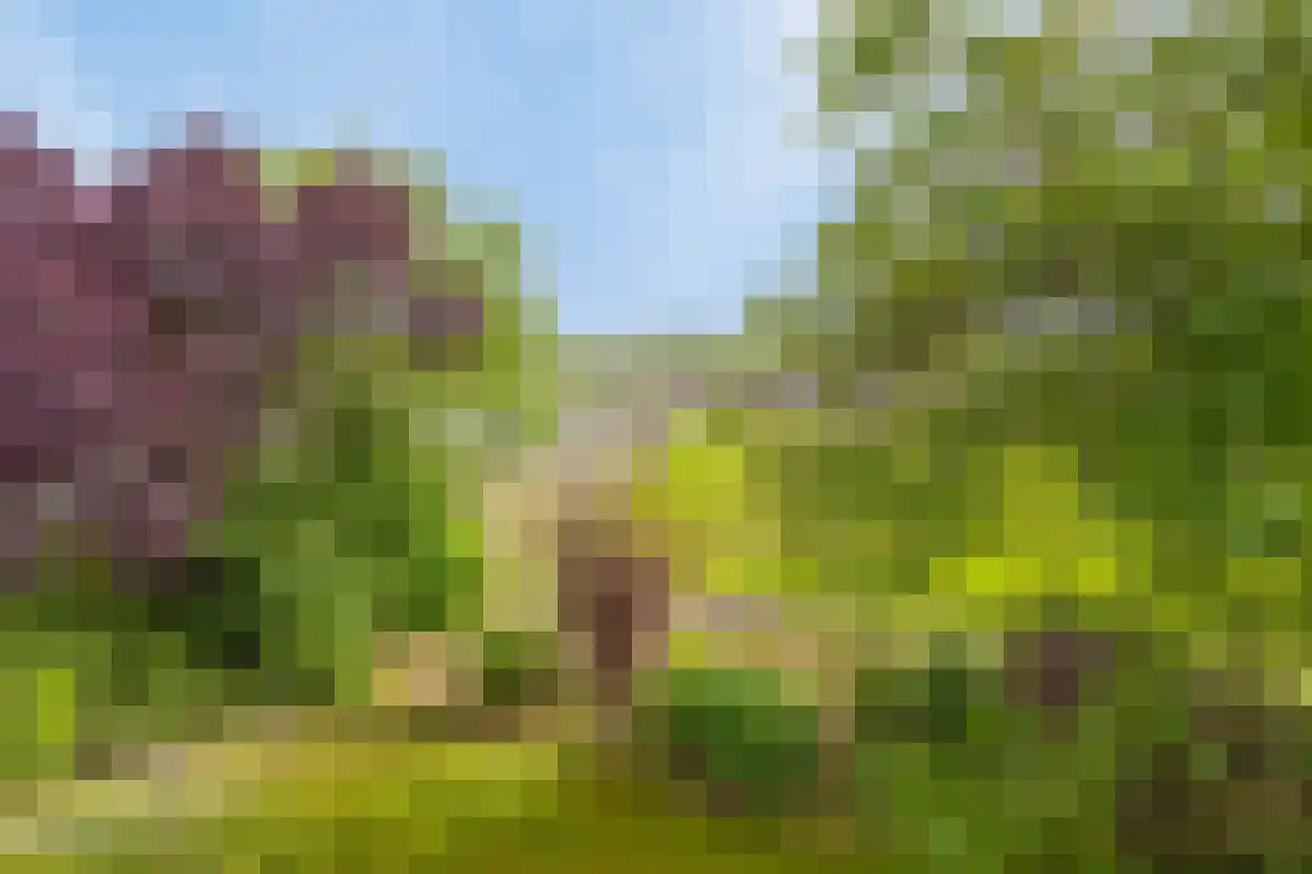 Boord 62 Nuenen thumbnail 36