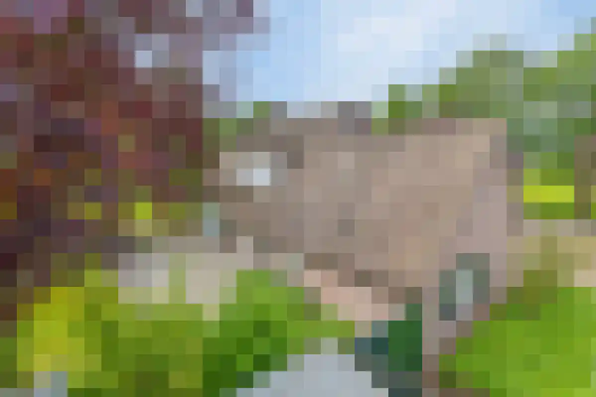 Boord 62 Nuenen thumbnail 37