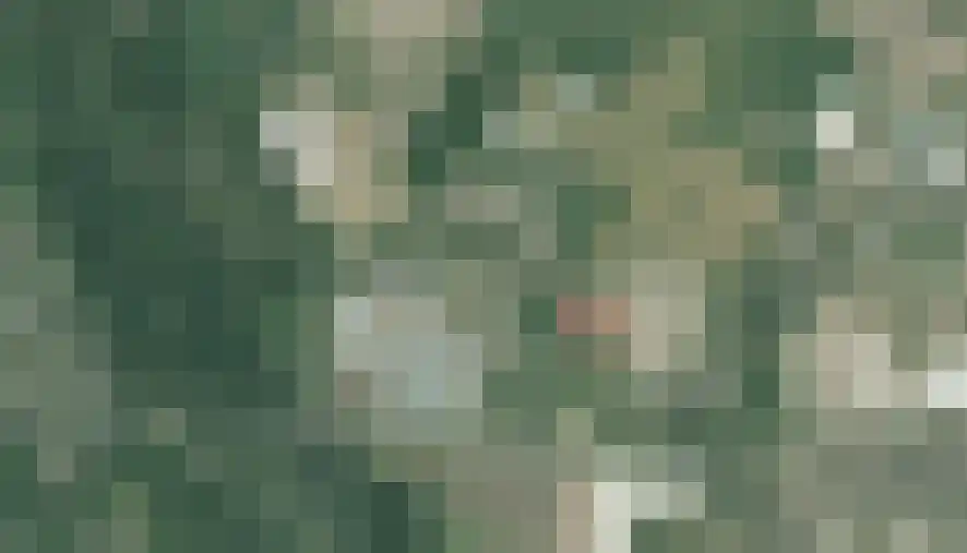 Boord 62 Nuenen thumbnail 41