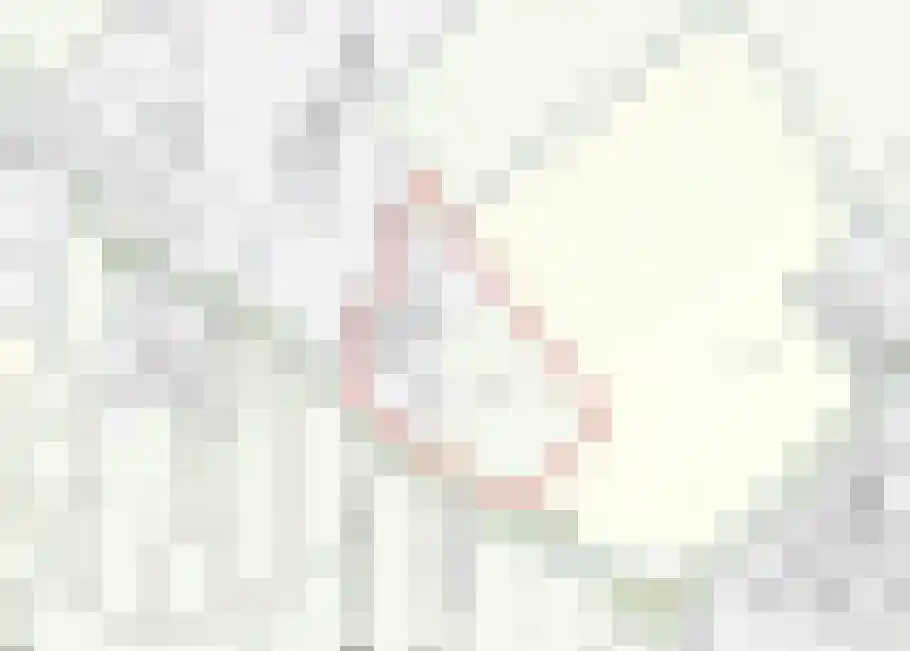Boord 62 Nuenen thumbnail 42