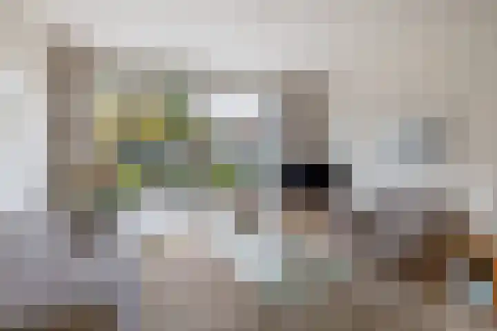 Boordseweg 42 Nuenen thumbnail 16