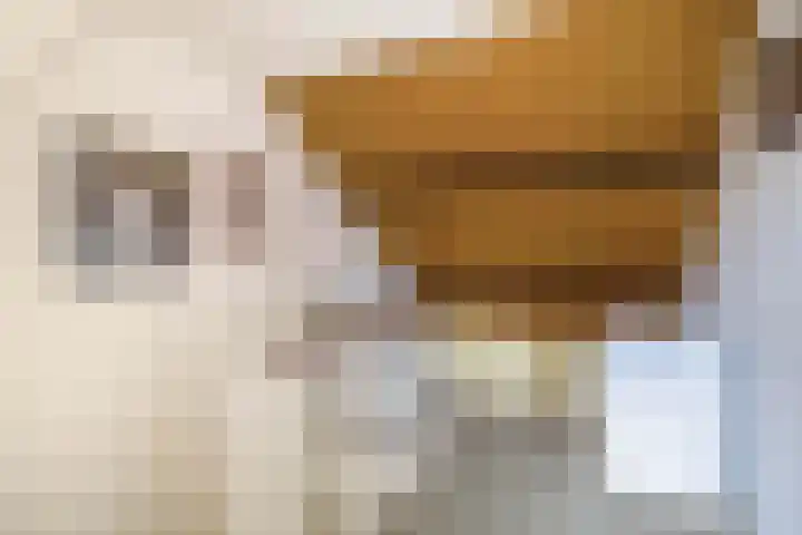 Boordseweg 42 Nuenen thumbnail 40