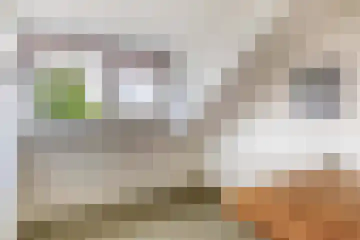 Boordseweg 42 Nuenen thumbnail 44