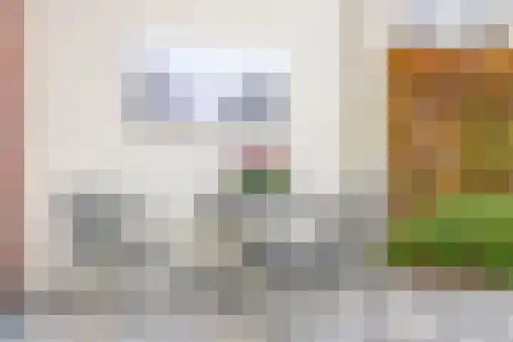 Boordseweg 42 Nuenen thumbnail 45