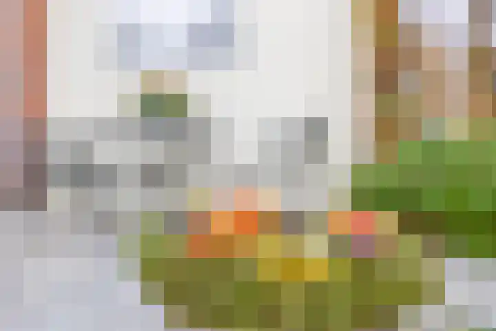 Boordseweg 42 Nuenen thumbnail 47