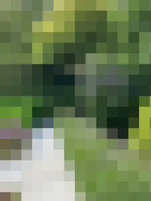 Boordseweg 42 Nuenen thumbnail 51