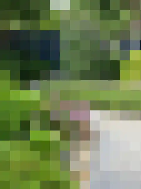 Boordseweg 42 Nuenen thumbnail 57