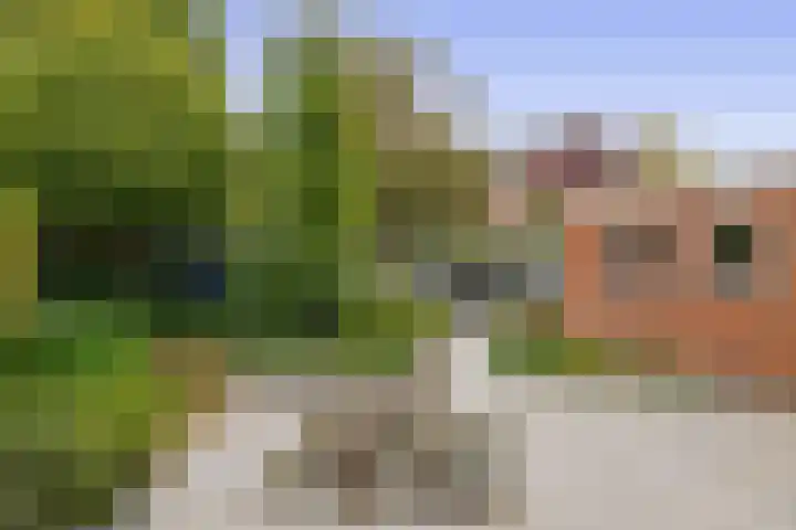Boordseweg 42 Nuenen thumbnail 58