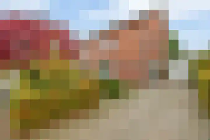Boordseweg 42 Nuenen thumbnail 6