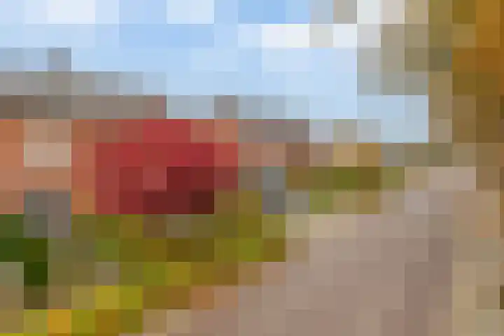 Boordseweg 42 Nuenen thumbnail 9