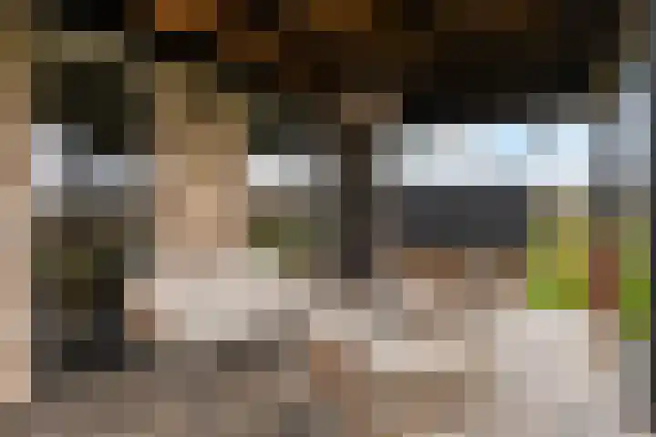 Boormolen 1 Zwolle thumbnail 17