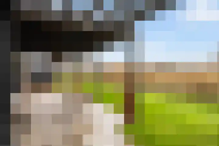 Boormolen 1 Zwolle thumbnail 18