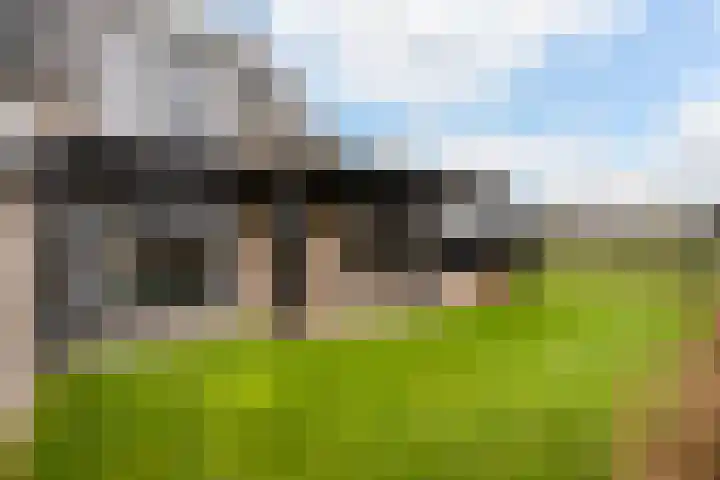 Boormolen 1 Zwolle thumbnail 19
