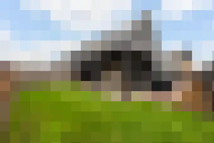 Boormolen 1 Zwolle thumbnail 20