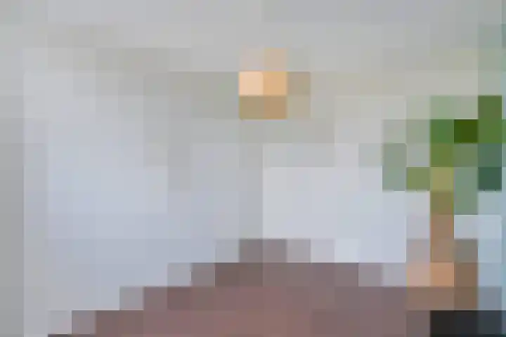 Boormolen 1 Zwolle thumbnail 30