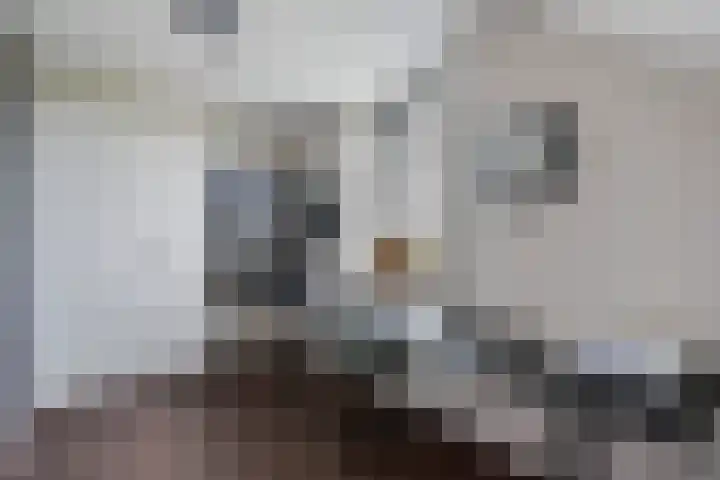Boormolen 1 Zwolle thumbnail 32
