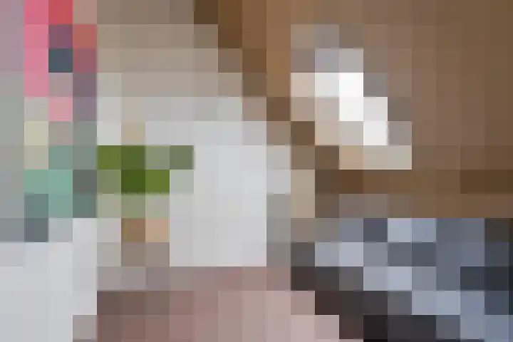 Boormolen 1 Zwolle thumbnail 38