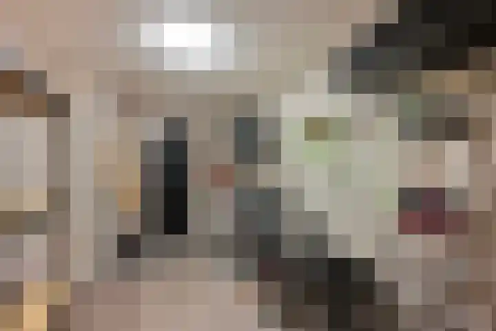 Boormolen 1 Zwolle thumbnail 39