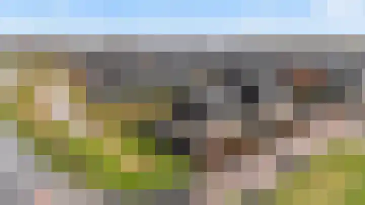 Boormolen 1 Zwolle thumbnail 40