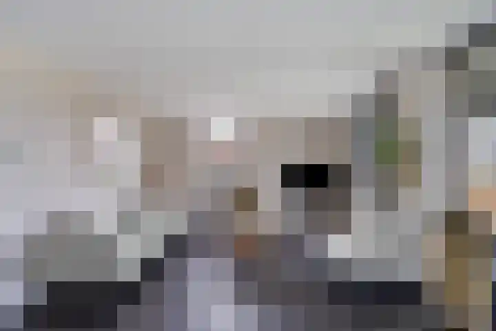 Boormolen 1 Zwolle thumbnail 7
