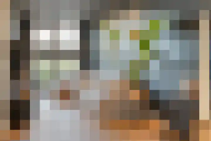 Boormolen 3 Zwolle thumbnail 14