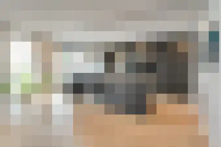 Boormolen 3 Zwolle thumbnail 20
