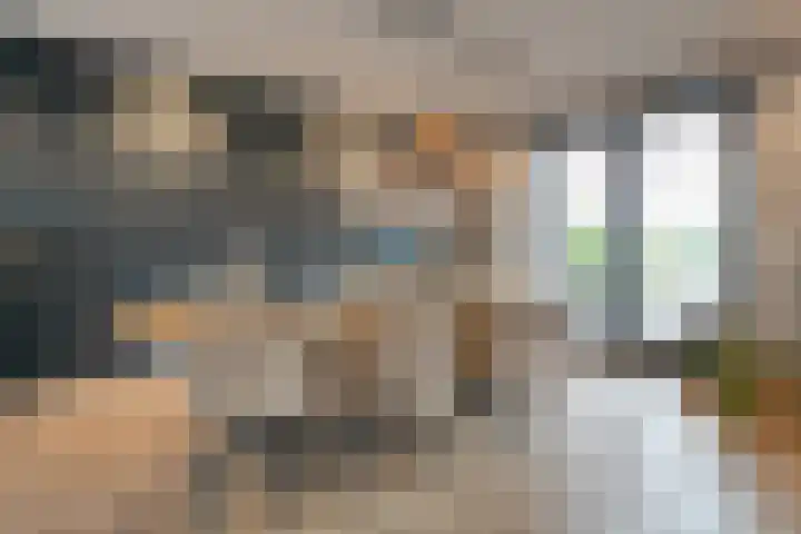 Boormolen 3 Zwolle thumbnail 24