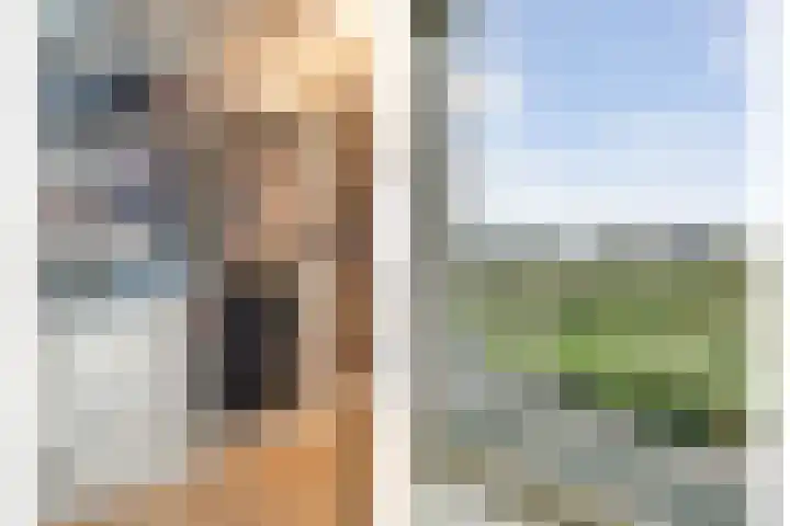 Boormolen 3 Zwolle thumbnail 30