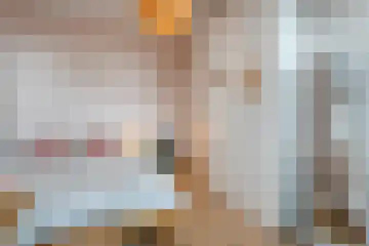 Boormolen 3 Zwolle thumbnail 35