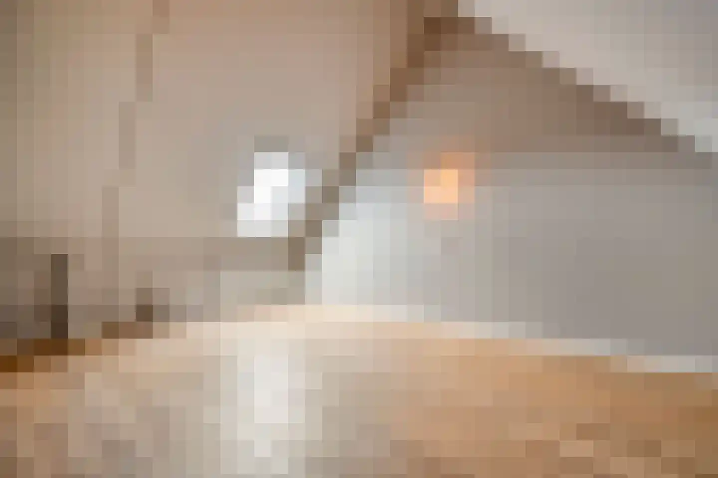 Boormolen 3 Zwolle thumbnail 39