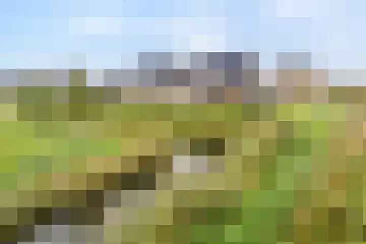 Boormolen 3 Zwolle thumbnail 4