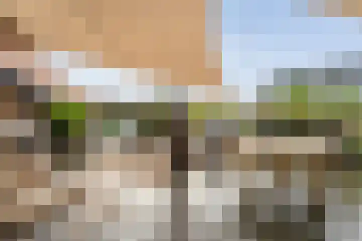 Boormolen 3 Zwolle thumbnail 43