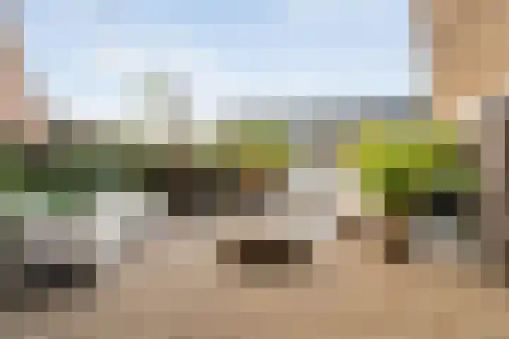 Boormolen 3 Zwolle thumbnail 44