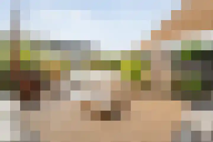 Boormolen 3 Zwolle thumbnail 45