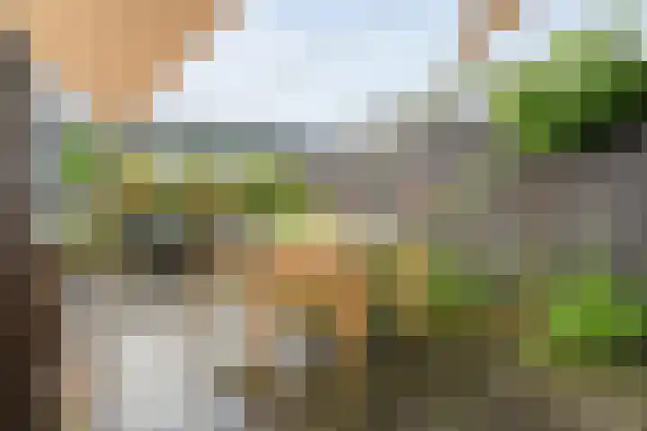 Boormolen 3 Zwolle thumbnail 46