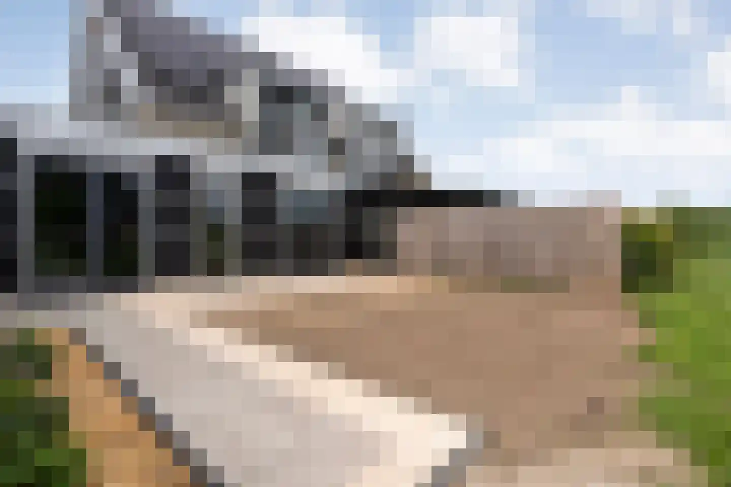 Boormolen 3 Zwolle thumbnail 46