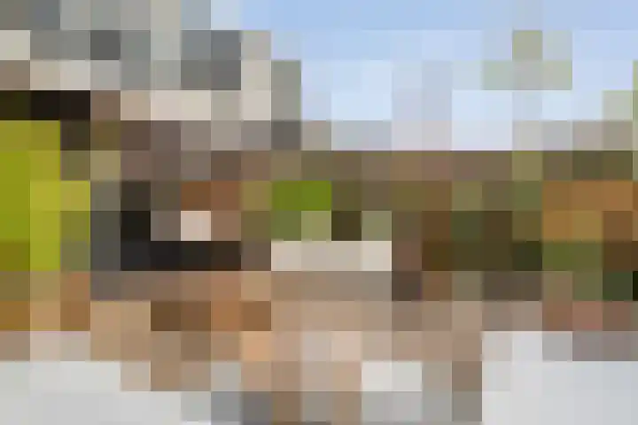 Boormolen 3 Zwolle thumbnail 47