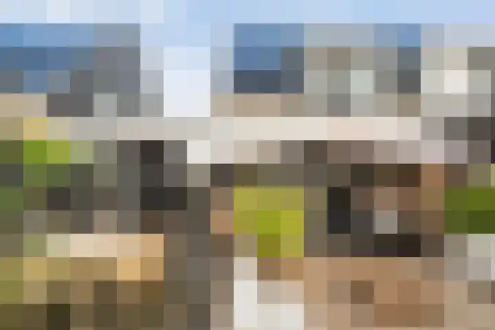 Boormolen 3 Zwolle thumbnail 48