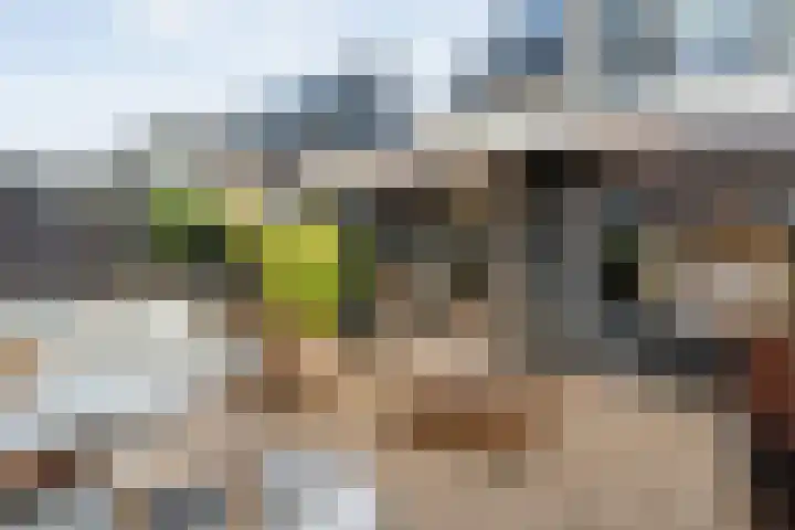Boormolen 3 Zwolle thumbnail 49
